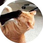 Profile Picture of ▪ᴊᴜʟɪᴇᴛᴀ ɢᴜᴢᴍᴀɴ▪ (@juliguzman__) on Instagram