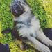 Profile Picture of Janja Bracic (@janjabracic) on Pinterest