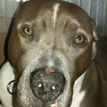 Kyle Whittaker - Instagram Profile Picture of Kyle Whittaker (@kyle_whittaker07) on Instagram