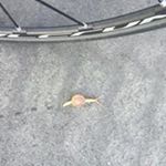 Profile Picture of Steve Kick (@pappakick1) on Instagram