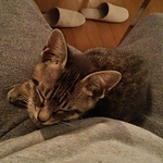 Profile Picture of Takashi Matsumoto (@takashi0921) on Flickr