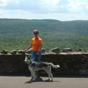 Profile Picture of Stefani Meyer (@SuperStefani1) on Youtube