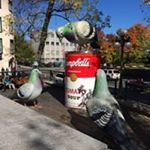 Profile Picture of Paul Rowlands (@paul.rowlands.1447) on Instagram