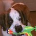 Profile Picture of George Strait Bernard (@george.s.bernard.790) on Facebook
