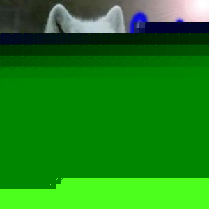 Profile Picture of Cody Simons (@sniperwolf_psg1b) on Myspace