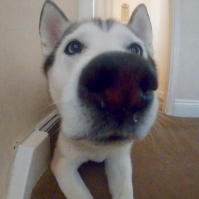 Profile Picture of James (@JamesHamling1) on Twitter