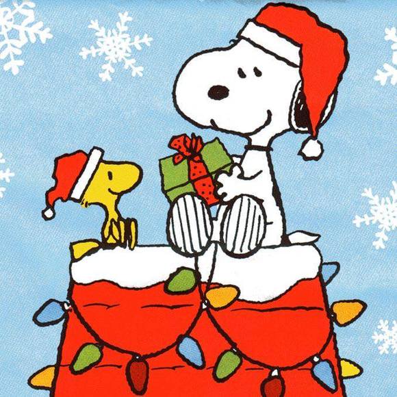 Profile Picture of Kristi Whiteaker (@vixendiver) on Poshmark