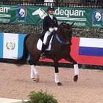 Profile Picture of Betsy Steiner (@steinerdressage) on Instagram