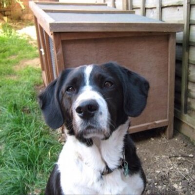 Profile Picture of Ryan Llewellyn (@RyanLlewellyn12) on Twitter