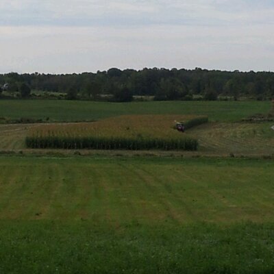 Profile Picture of Barry Clifford (@CliffB99) on Twitter