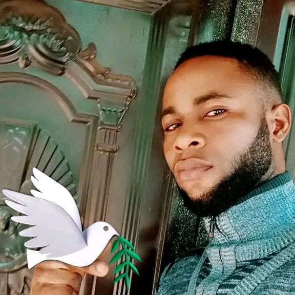 Profile Picture of Vincent lee (@vincentsalvation9) on Tiktok