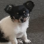 Profile Picture of Richard Hindle (@richard.hindle.3150) on Facebook