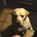 Profile Picture of Nancy Van Den Broecke (@Piletje) on Pinterest
