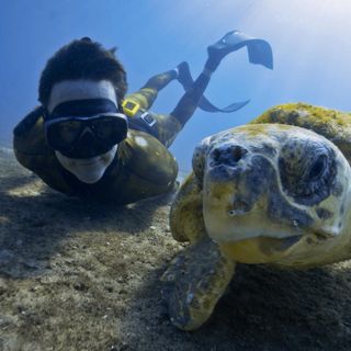 Profile Picture of PaulDabill (@pauldabill) on Instagram