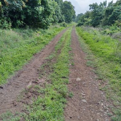 Profile Picture of Guillermo Gabriel Leyva Ruvalcaba (@Guiller18293622) on Twitter