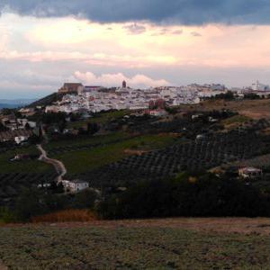 Profile Picture of Rafael Raigón Luque (@rafaraigon) on Twitter