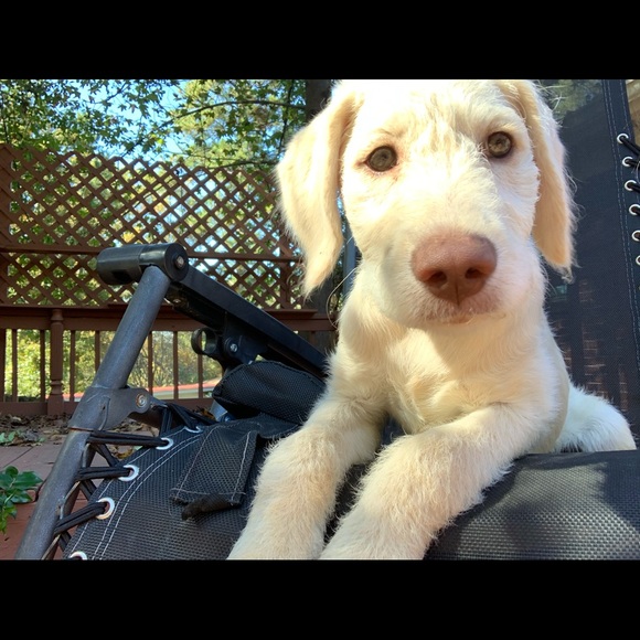 Profile Picture of Magan Katnis (@magankatnis90) on Poshmark