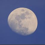 Profile Picture of 루나 영화 (@luna.mov) on Instagram