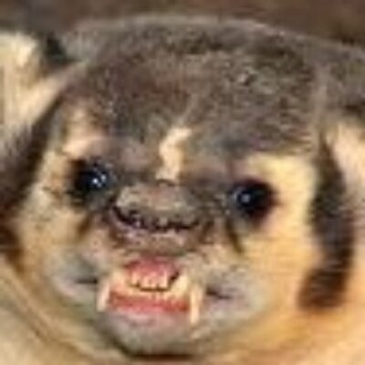 Profile Picture of Tony Badger (@BadgerDad3) on Twitter