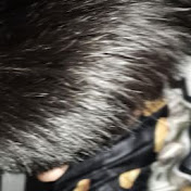 Profile Picture of Teerati Mollor (@teeratimollor997) on Youtube