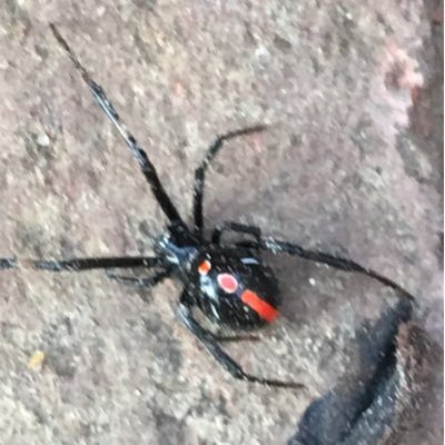 Profile Picture of Heather Walker Clark (@walkerclark76) on Twitter