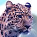 Profile Picture of Jeremy Cassel (@jeremy.cassel.395) on Facebook