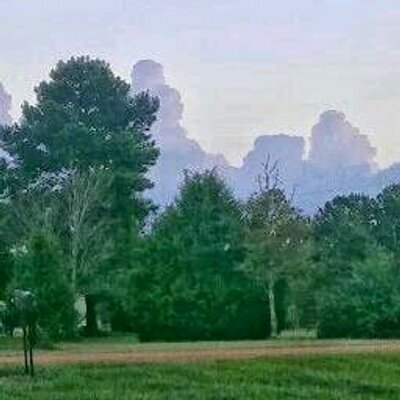 Profile Picture of Thomas Rabon (@twrabon48) on Twitter