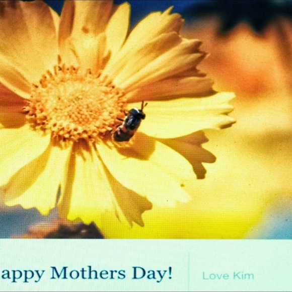 Profile Picture of Mj Merryweather (@muzhajmwema) on Poshmark