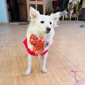 Profile Picture of Miss Coco (@misscoco0207) on Youtube