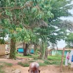 Profile Picture of Jeff Gongar (@Jeff-Gongar) on Facebook