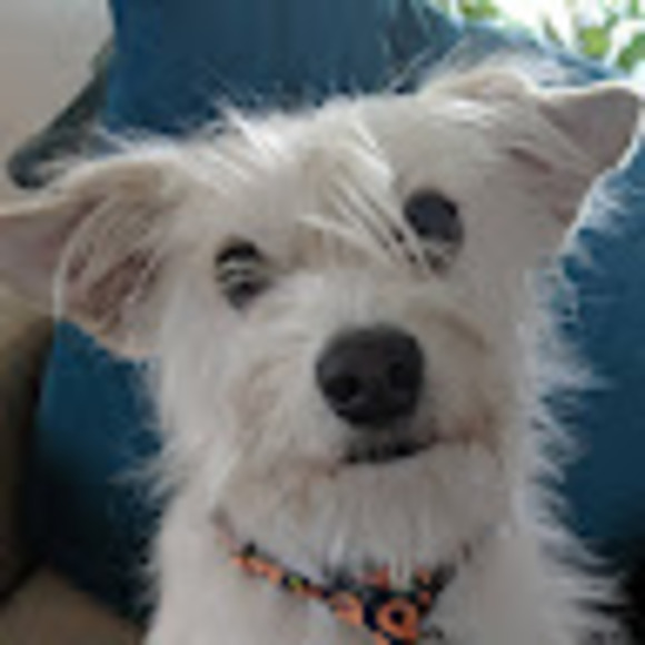 Profile Picture of Simon Belian (@shogo64) on Poshmark