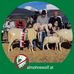 Profile Picture of David Dobler (@david.dobler.56) on Facebook