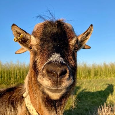 Profile Picture of Peter Eisele (@PeterEisele4) on Twitter
