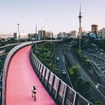 Profile Picture of Rebecca, Michael & Team (@barfoot_rebecca_michael) on Instagram