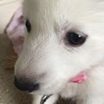 Profile Picture of Emerson (@emmyglenn) on Instagram