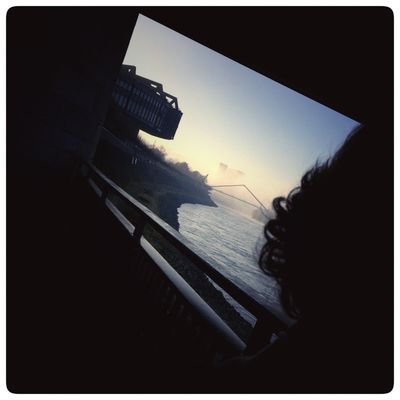 Jan Seidel - Twitter Profile Picture of Jan Seidel (@MrToMeerkat) on Twitter