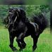 Profile Picture of Johnny Claiborne (@johnny.claiborne.33) on Facebook