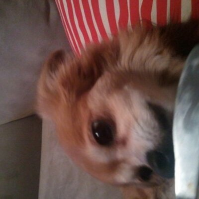 Profile Picture of David Tuttle (@TuttleDave) on Twitter