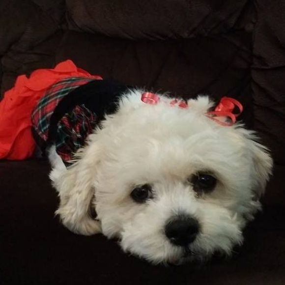 Profile Picture of John Mirabile (@john_mirabile) on Poshmark