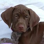 Profile Picture of Doris Renwick Connell (@doris.m.connell) on Instagram