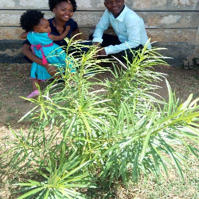 Profile Picture of Chrisleno (@Chrisleno2) on Twitter