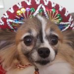 Profile Picture of Danielle Erwin (@definitelynaht) on Instagram