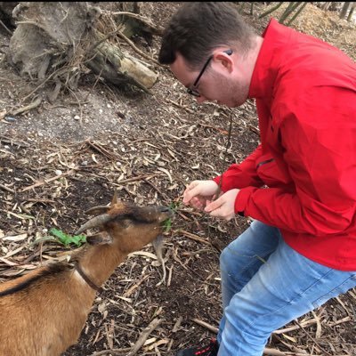 Profile Picture of Matt Heslop (@hezzamrh96) on Twitter