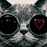 Profile Picture of Jesse Raphael (@jesse-raphael) on Quora