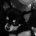 Profile Picture of Calvin Samuel (@calvin.samuel.756) on Facebook