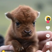 Profile Picture of Chris Vaughan (@chrisvaughan315) on Youtube