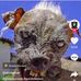 Profile Picture of Sean Almeida (@sean.almeida.353) on Facebook