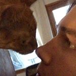 Profile Picture of Hiski Törrönen (@hiskitor) on Instagram