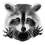 Profile Picture of Amanda Ketterling (@Amanda-Ketterling) on Facebook