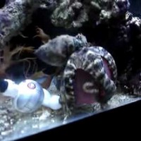 Profile Picture of Daniel Pon (@daniel-pon-1) on Quora